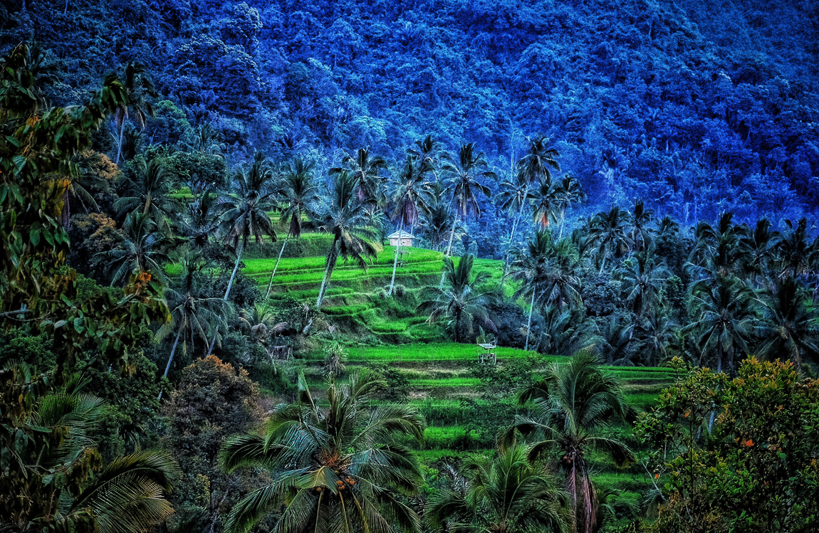 Journey to the Heart - Bali