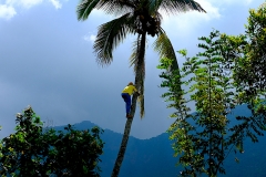 Journey to the Heart - Bali