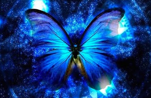 The Dance of the Cosmic Butterfly